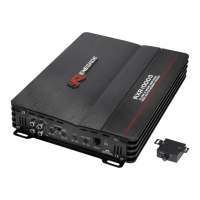 Preview: Renegade RXA1000D