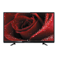 Preview: Magnavox 50MV376Y