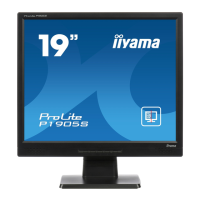 Preview: Iiyama ProLite P1905S-2