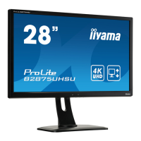 Preview: Iiyama ProLite B2875UHSU-B1