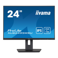 Preview: Iiyama ProLite XUB2495WSU