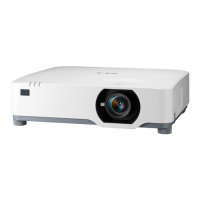 Preview: NEC PE455UL