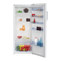 Preview: Beko RSSA290M31WN