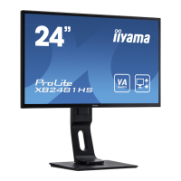 Preview: Iiyama ProLite XB2481HS-B1