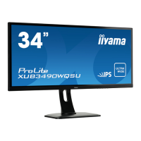Preview: Iiyama ProLite XUB3490WQSU-B1