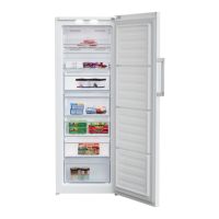 Preview: Beko RFNE290E43WN