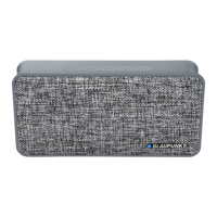 Preview: Blaupunkt BT13GY
