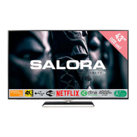 Preview: Salora 43UHX4500