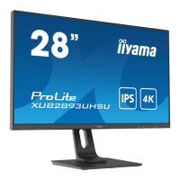 Preview: Iiyama ProLite XUB2893UHSU