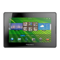 Preview: Blackberry PlayBook Tablet