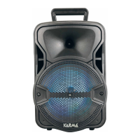 Preview: Karma PSB 8
