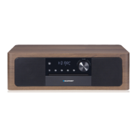 Preview: Blaupunkt MS22BT