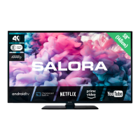 Preview: Salora 58UA330
