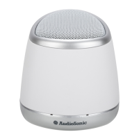 Preview: AudioSonic SK-1504