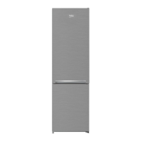 Preview: Beko RCHA300K20XP