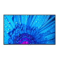 Preview: NEC MultiSync M751
