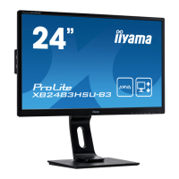 Preview: Iiyama ProLite XB2483HSU-B3