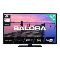 Preview: Salora 43BA3704