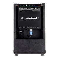 Preview: TC Electronic BG250-208