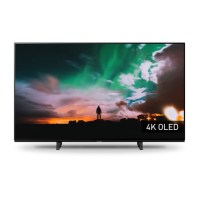 Preview: Panasonic TX-48JZ980E
