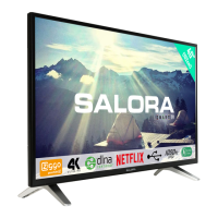 Preview: Salora 40UHS3500