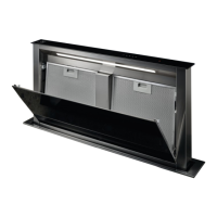 Preview: Electrolux LFD619 Y