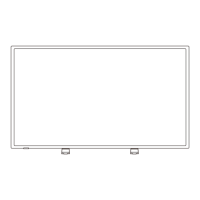 Preview: NEC E556