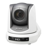 Preview: Sony BRC SERIES