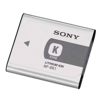 Preview: Sony NP-BK1