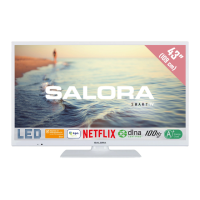 Preview: Salora 43FSW5012