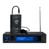 Preview: Nady Systems DKW-3 LT