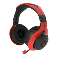 Preview: Gioteck FL300