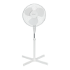 Fan Logo
