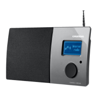 Preview: Grundig Cosmopolit 4 WEB DAB+