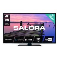 Preview: Salora 55BA3704