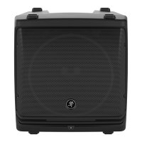 Preview: Mackie DLM12