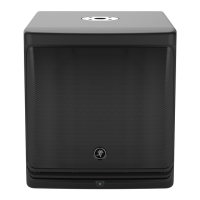 Preview: Mackie DLM12S