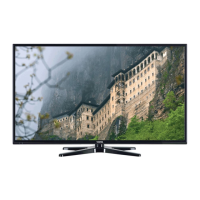 Preview: VESTEL 49FA5000
