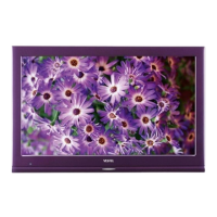 Preview: VESTEL 22PF5021L