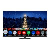 Preview: Panasonic TX-55HZW984