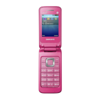 Preview: Samsung GT-C3520