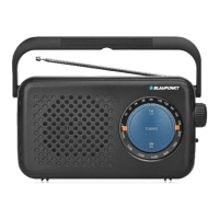 Preview: Blaupunkt PR9BK
