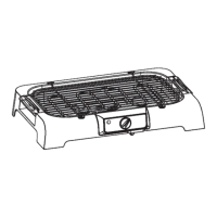 Preview: Electroline ELNEXTBARBEQUE377G