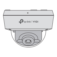 Preview: TP-Link VIGI C250