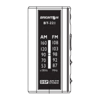 Preview: Brigmton BT-221