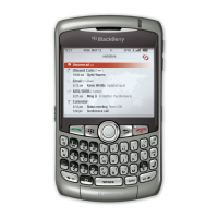 Preview: Blackberry Curve 8310
