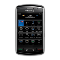 Preview: Blackberry Storm 9500