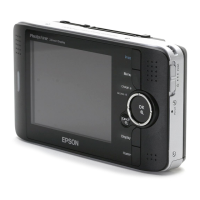 Preview: Epson P-2000