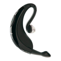 Preview: Jabra BT250v