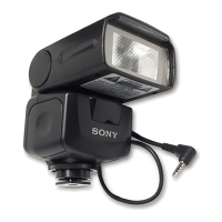 Preview: Sony HVL-F1000